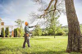 Best Lawn Irrigation Installation and Maintenance  in Pecos, TX