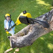 Best Weed Control  in Pecos, TX