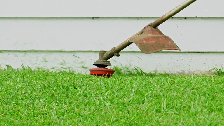 How Our Tree Care Process Works  in  Pecos, TX